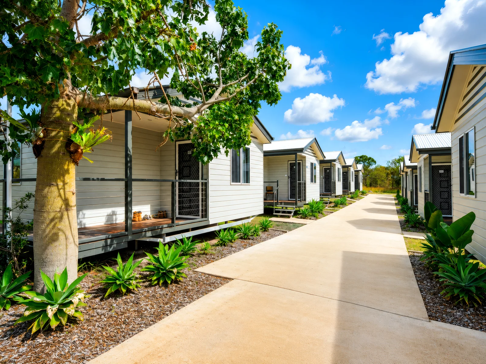 the cabin row at Parklands Resort